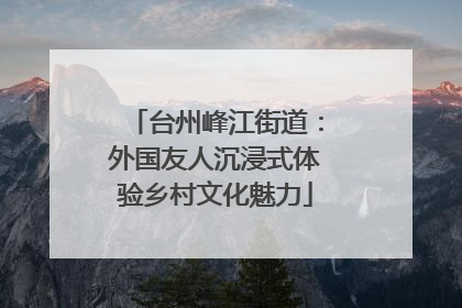 台州峰江街道：外国友人沉浸式体验乡村文化魅力