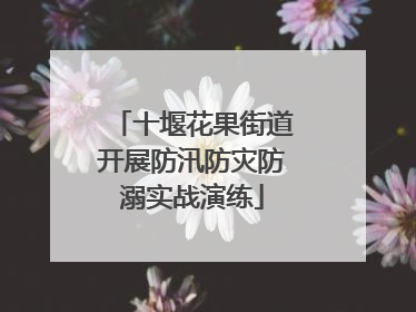 十堰花果街道开展防汛防灾防溺实战演练