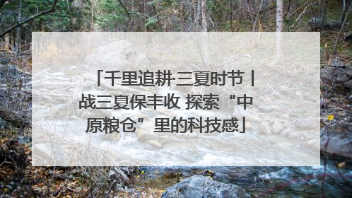 千里追耕·三夏时节丨战三夏保丰收 探索“中原粮仓”里的科技感