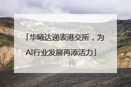 华曦达递表港交所，为AI行业发展再添活力