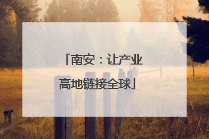 南安：让产业高地链接全球