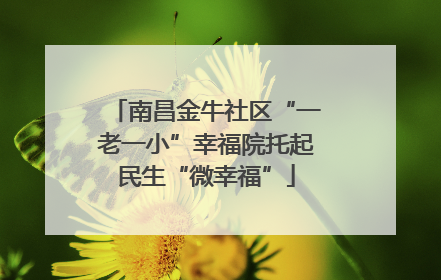 南昌金牛社区“一老一小”幸福院托起民生“微幸福”
