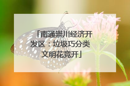 南通崇川经济开发区：垃圾巧分类 文明花竞开