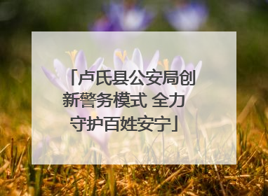 卢氏县公安局创新警务模式 全力守护百姓安宁