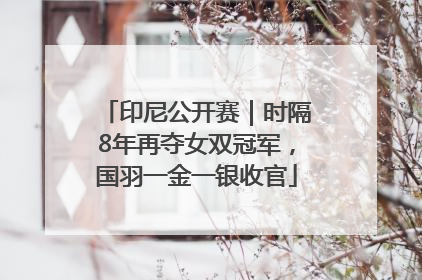 印尼公开赛｜时隔8年再夺女双冠军，国羽一金一银收官