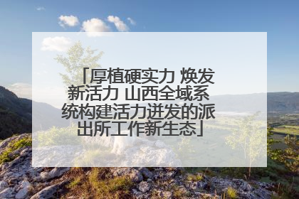 厚植硬实力 焕发新活力 山西全域系统构建活力迸发的派出所工作新生态