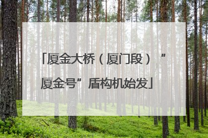 厦金大桥（厦门段）“厦金号”盾构机始发