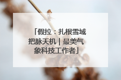 假拉：扎根雪域把脉天机｜最美气象科技工作者