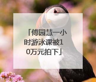 傅园慧一小时游泳课被10万元拍下