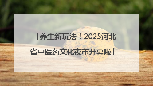 养生新玩法！2025河北省中医药文化夜市开幕啦