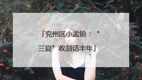兖州区小孟镇：“三夏”收割话丰年