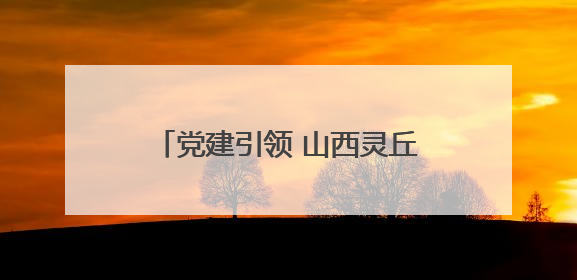党建引领 山西灵丘花塔村解锁致富密码