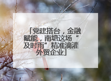 党建搭台，金融赋能，南塘这场“及时雨”精准滴灌外贸企业