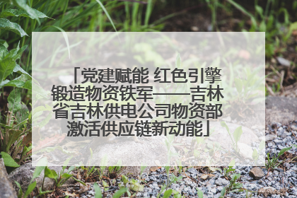党建赋能 红色引擎锻造物资铁军——吉林省吉林供电公司物资部激活供应链新动能