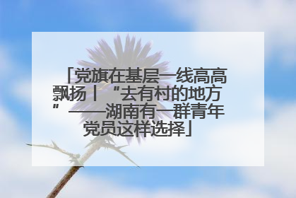 党旗在基层一线高高飘扬丨“去有村的地方”——湖南有一群青年党员这样选择
