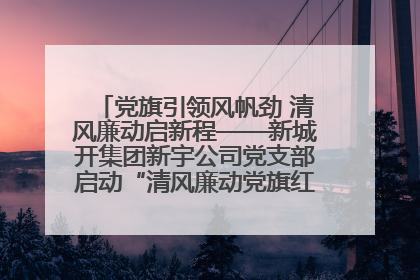 党旗引领风帆劲 清风廉动启新程——新城开集团新宇公司党支部启动“清风廉动党旗红”系列活动