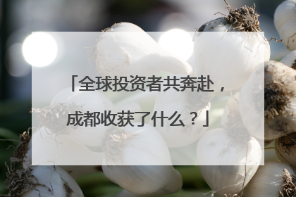 全球投资者共奔赴，成都收获了什么？