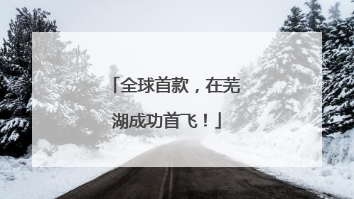 全球首款，在芜湖成功首飞！