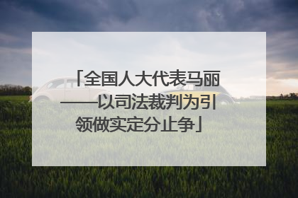 全国人大代表马丽——以司法裁判为引领做实定分止争