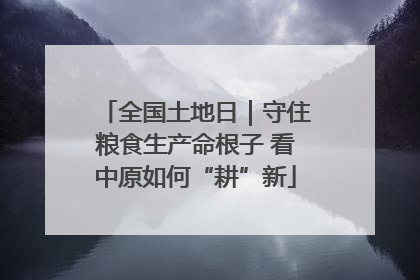 全国土地日｜守住粮食生产命根子 看中原如何“耕”新