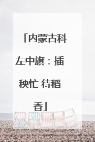 内蒙古科左中旗：插秧忙 待稻香