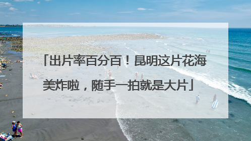 出片率百分百！昆明这片花海美炸啦，随手一拍就是大片
