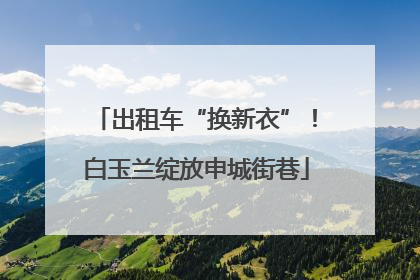 出租车“换新衣”！白玉兰绽放申城街巷