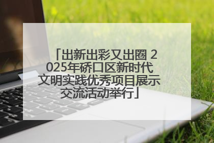 出新出彩又出圈 2025年硚口区新时代文明实践优秀项目展示交流活动举行