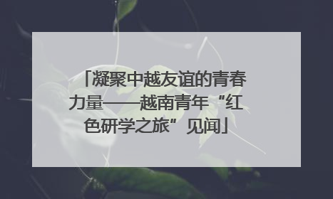 凝聚中越友谊的青春力量——越南青年“红色研学之旅”见闻
