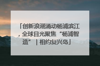 创新浪潮涌动杨浦滨江，全球目光聚焦“杨浦智造”｜相约复兴岛