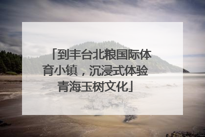 到丰台北粮国际体育小镇，沉浸式体验青海玉树文化