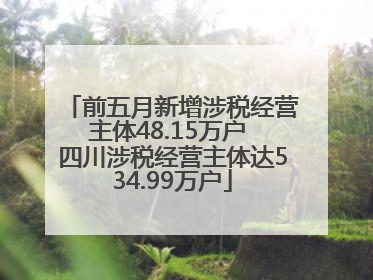 前五月新增涉税经营主体48.15万户 四川涉税经营主体达534.99万户