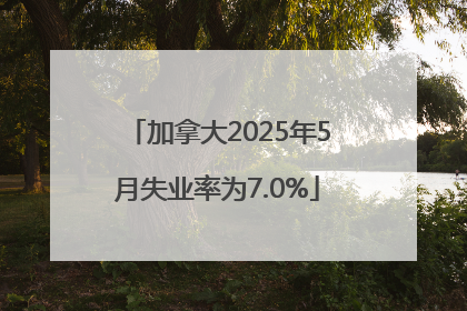 加拿大2025年5月失业率为7.0%
