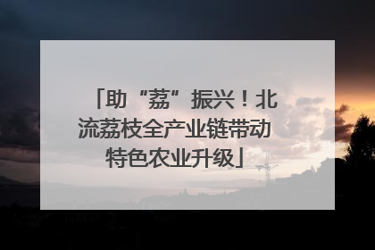 助“荔”振兴！北流荔枝全产业链带动特色农业升级