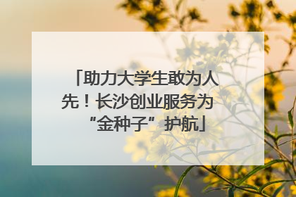 助力大学生敢为人先！长沙创业服务为“金种子”护航