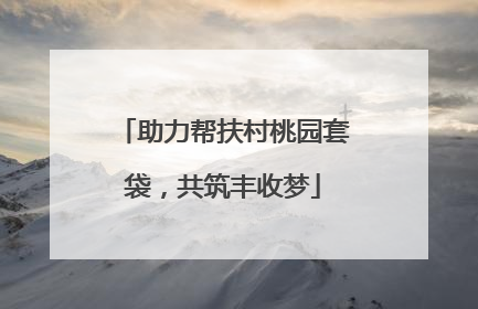 助力帮扶村桃园套袋，共筑丰收梦
