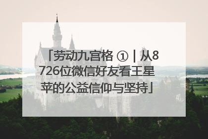 劳动九宫格 ①｜从8726位微信好友看王星苹的公益信仰与坚持