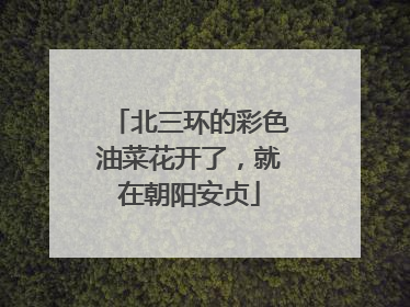 北三环的彩色油菜花开了，就在朝阳安贞