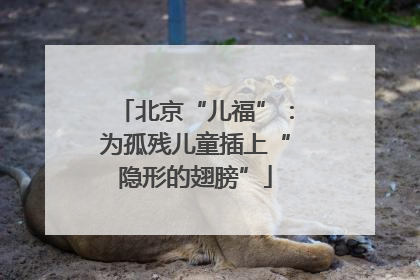 北京“儿福”：为孤残儿童插上“隐形的翅膀”