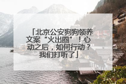 北京公安狗狗领养文案“火出圈”！心动之后，如何行动？我们打听了