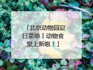 北京动物园夏日菜单丨动物食堂上新啦！