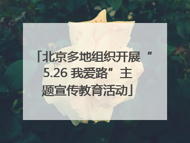 北京多地组织开展“5.26 我爱路”主题宣传教育活动