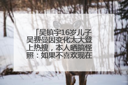 吴镇宇16岁儿子吴费曼因变化太大登上热搜，本人晒搞怪照：如果不喜欢现在的我可以离开