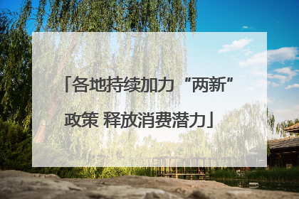 各地持续加力“两新”政策 释放消费潜力