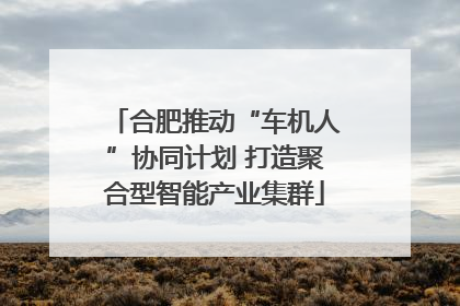 合肥推动“车机人”协同计划 打造聚合型智能产业集群