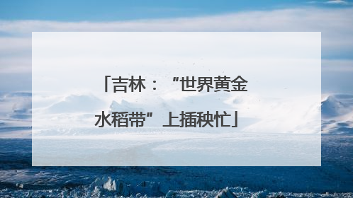 吉林：“世界黄金水稻带”上插秧忙