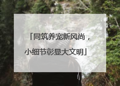 同筑养宠新风尚，小细节彰显大文明