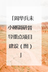 周华兵未小刚调研督导重点项目建设（图）