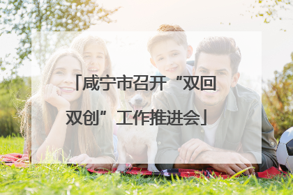 咸宁市召开“双回双创”工作推进会