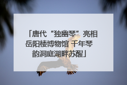 唐代“独幽琴”亮相岳阳楼博物馆 千年琴韵洞庭湖畔苏醒